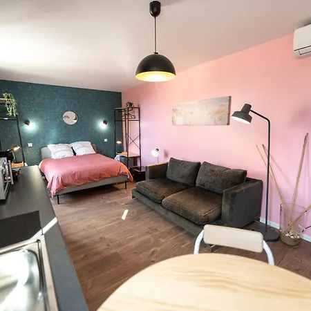 Kasa Lounge - Climatisation - Au Calme Apartamento Rive-de-Gier Exterior foto